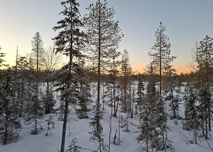 Usvaniitty - A New Magnificent Oasis Apartment Ruka